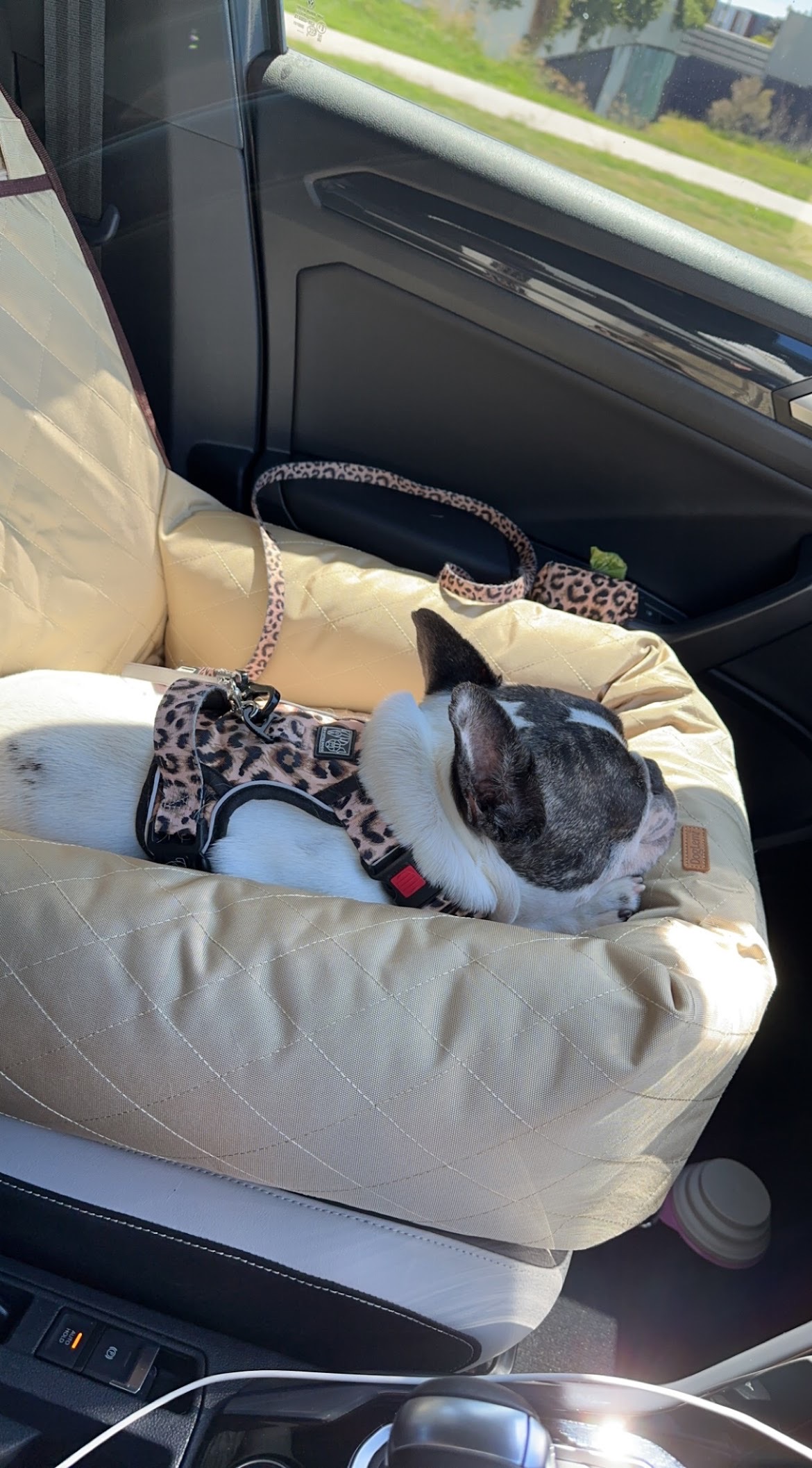 Luxury Pet Car Seat 4Paws Pet Accessories